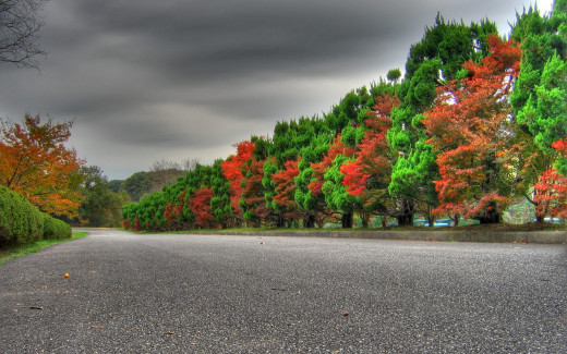 470553 (a): :1680x1050